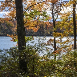 Worthington State Forest 10/24/2016