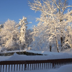 Winter Storm in NJ 3.7.2018
